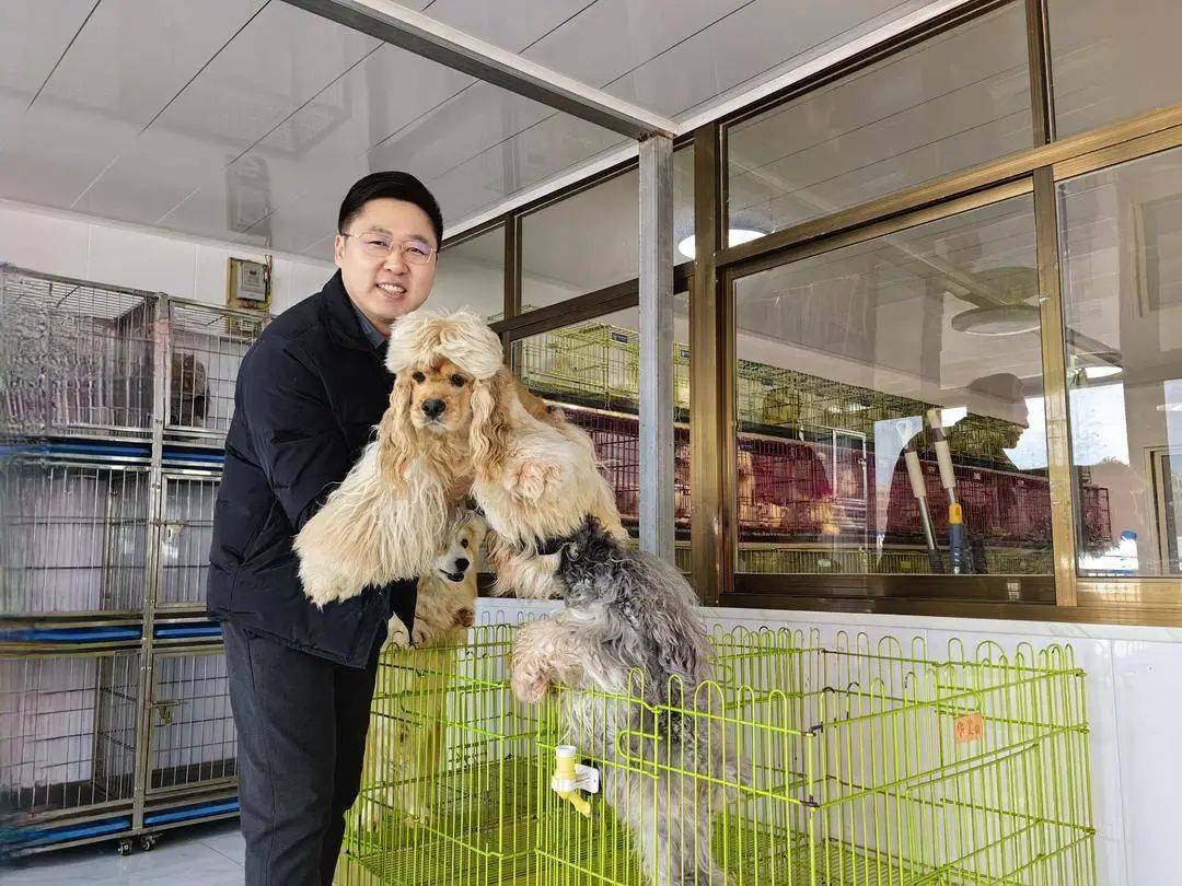 全国市场上7成宠物犬猫来自辽宁