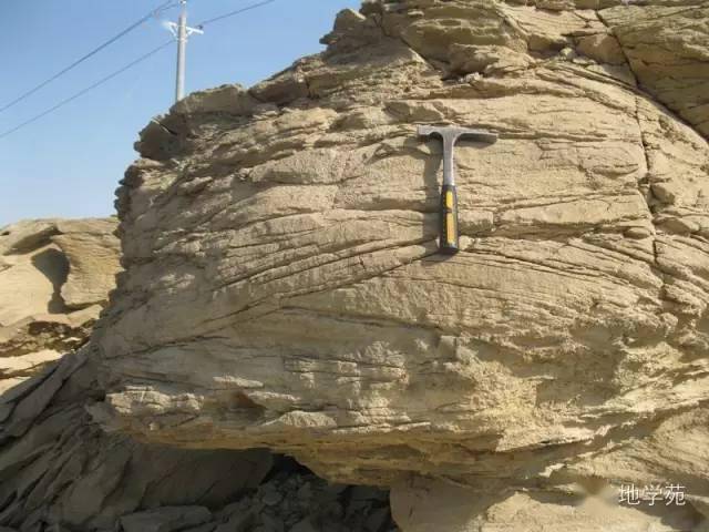 六十张野外常见地质现象_准噶尔_砂岩_化石
