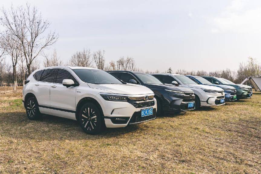 奔赴春日 皓影车友一起去追光_搜狐汽车_搜狐网