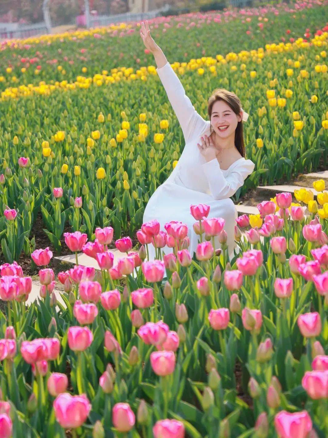 超全2024新都春季赏花地图来了