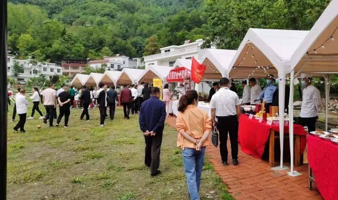 春满田园旬阳水泉坪油菜花季系列活动即将开启