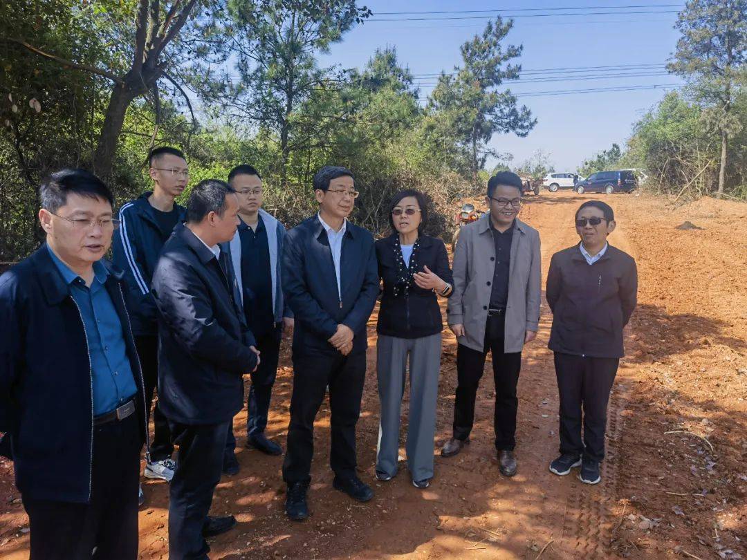 王强赴经开区开展巡林工作