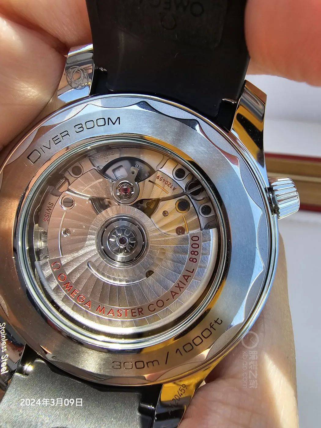 来看看海马是如何成为大家心中的白月光的?_欧米茄_青春_手表