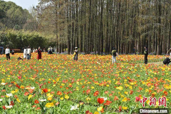 春回申城沪人百花丛中享受自然野趣