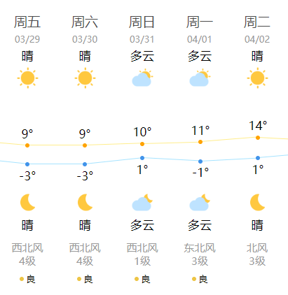沈阳早参(2024年3月29日)_沈阳晴_服务_辽宁