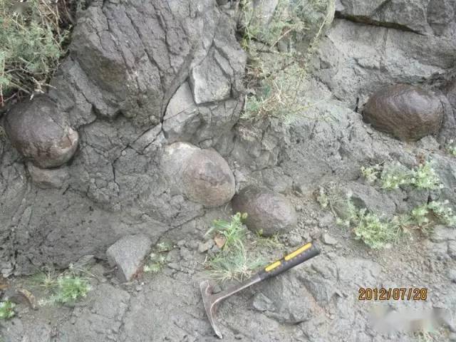 六十张野外常见地质现象_准噶尔_砂岩_化石