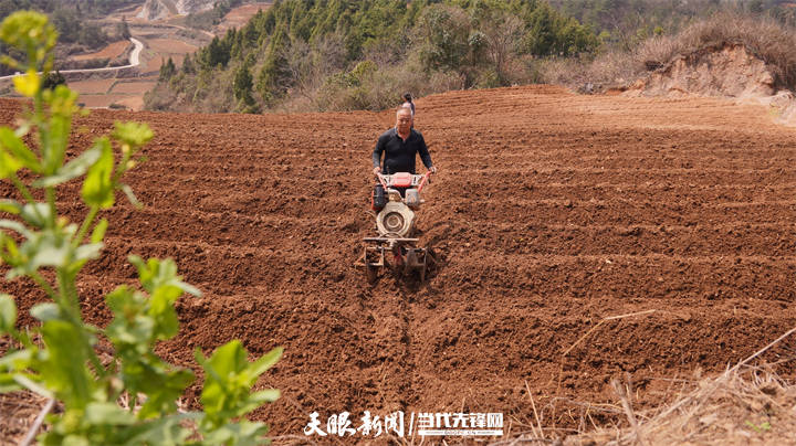 奋起争春施秉县白垛乡按下春耕备耕农忙键