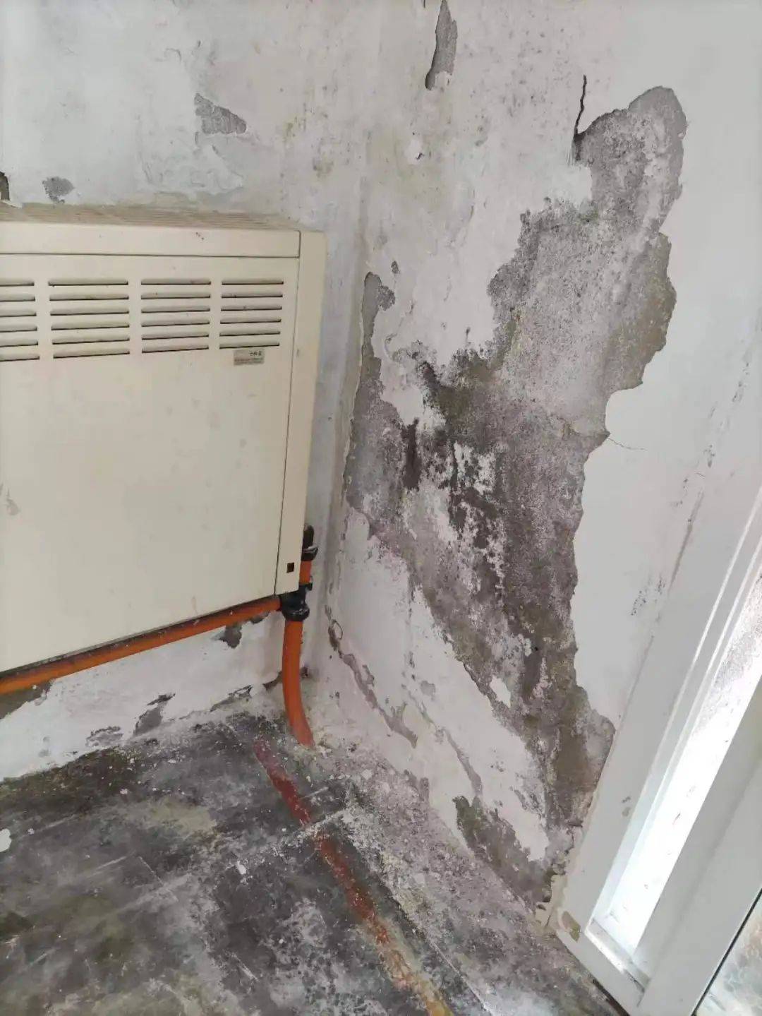 王女士,下周三前完工,质保三年!