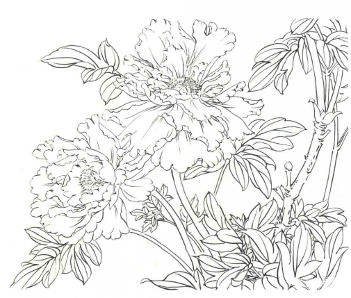 设色知识要点:平涂,是工笔画作品中表现物象的大关系常用的技法之一.