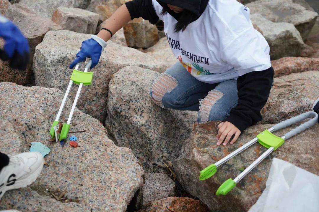 净滩有感harrowinternationalschool