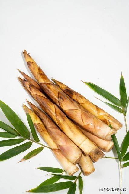 不仅口感鲜嫩,营养丰富,而且具有一定的药用价值