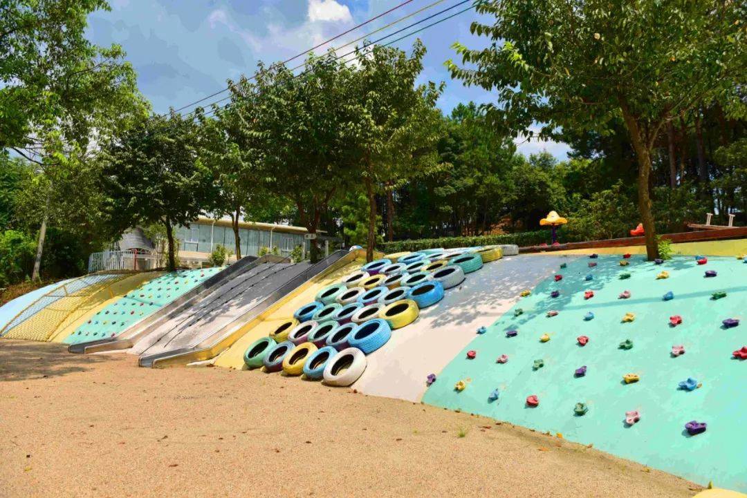 来到这里,还可以去尝一尝五马寨生态园的菌菇美食,喝上一口鲜甜美味的