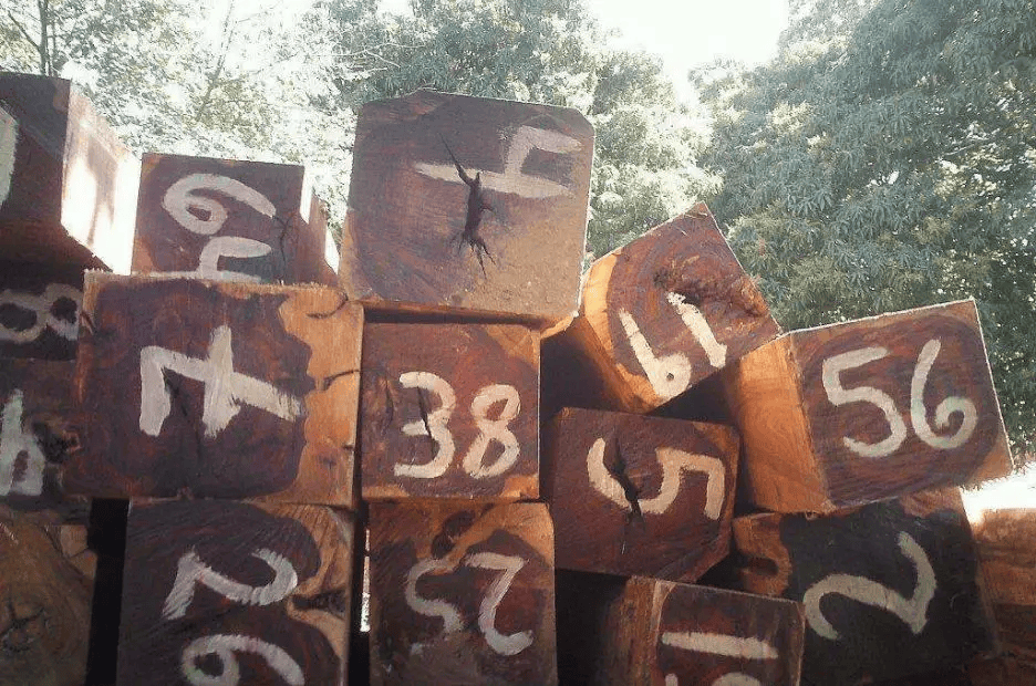 占据市场90份额的五种红木