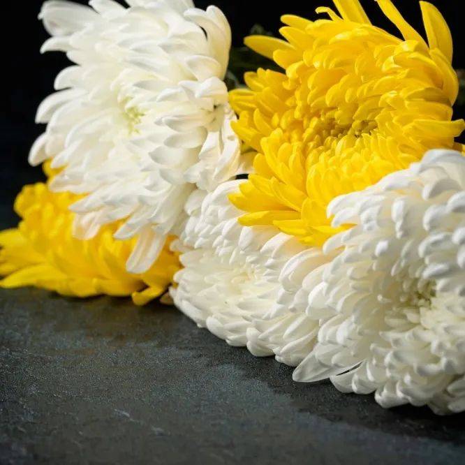 周末话题春草正清明诗词寄哀思诗词里的清明你知道几首