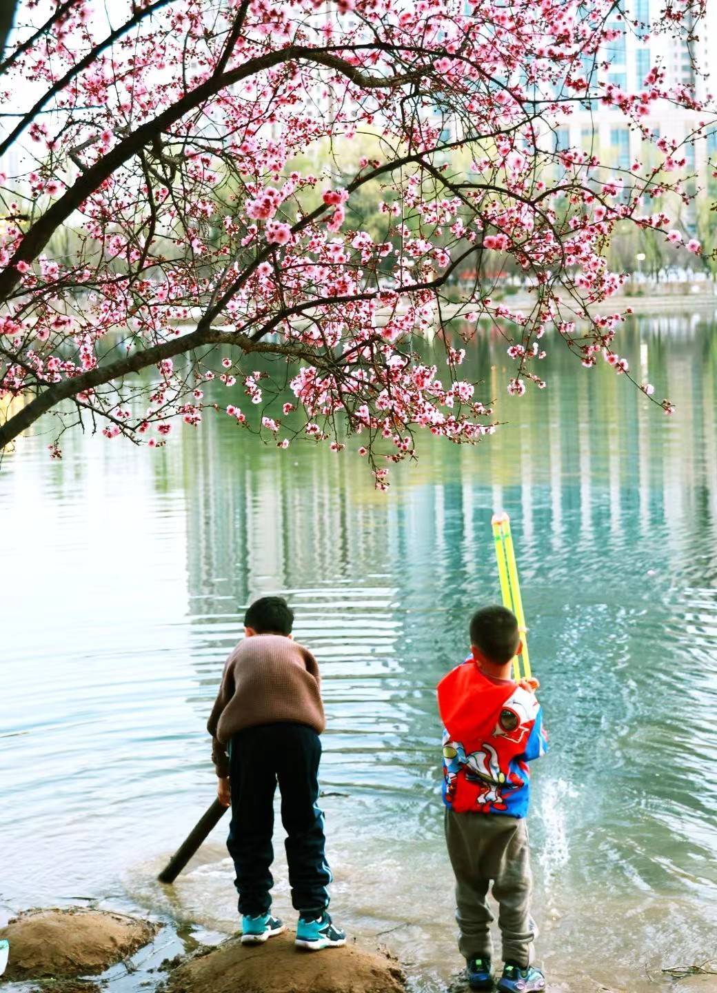 泰安市凤凰湖公园图片