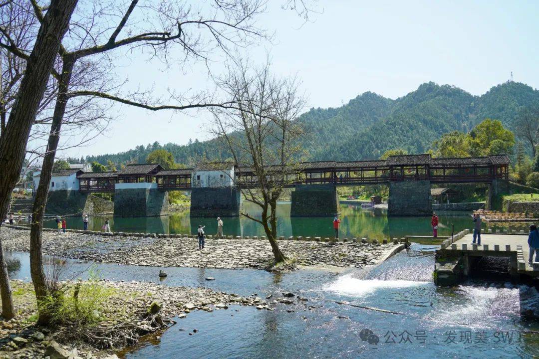 67三月的婺源一半是仙境