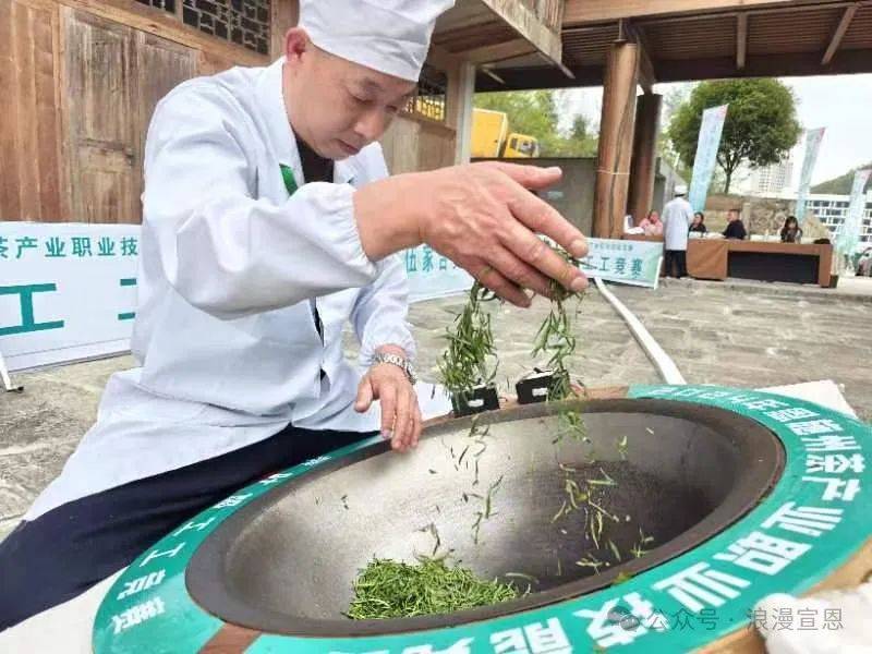 太精彩了宣恩伍家台贡茶文化活动4条上了热榜