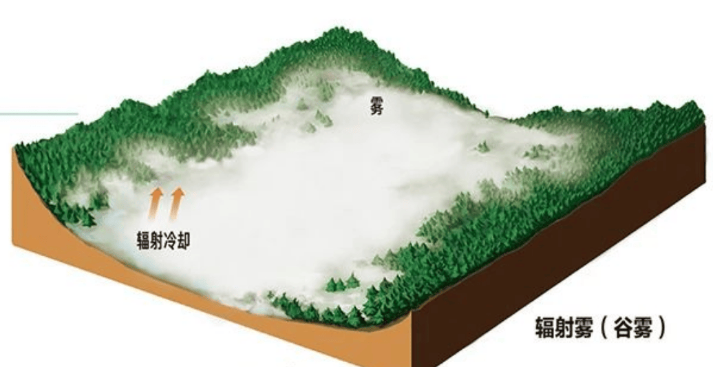 让人一头雾水的高考真题