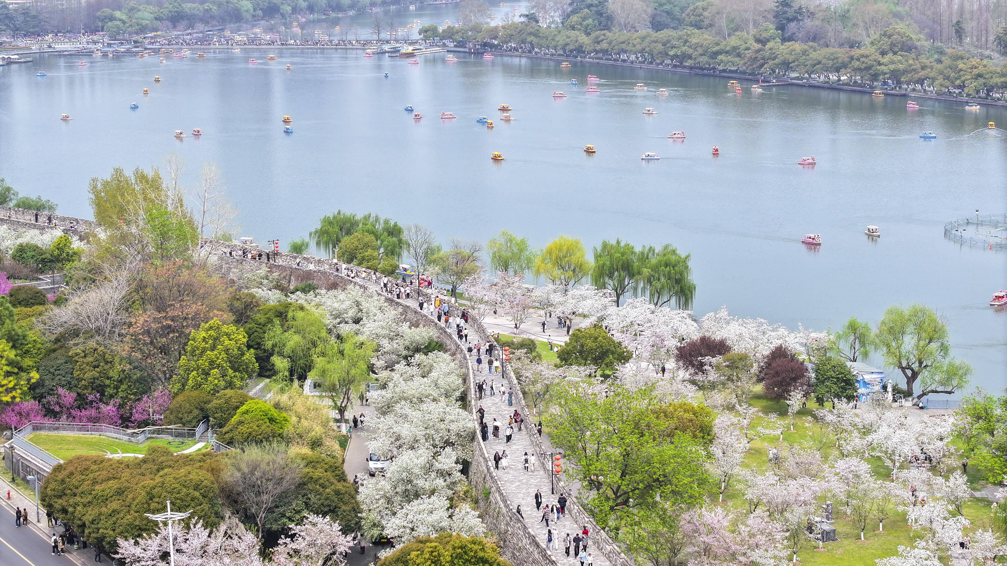 3月31日,小朋友在山东省枣庄市齐村镇油菜花田间玩耍.