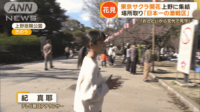 万众期待的东京樱花终于开了日本大叔为了赏樱竟然在树下等了两天