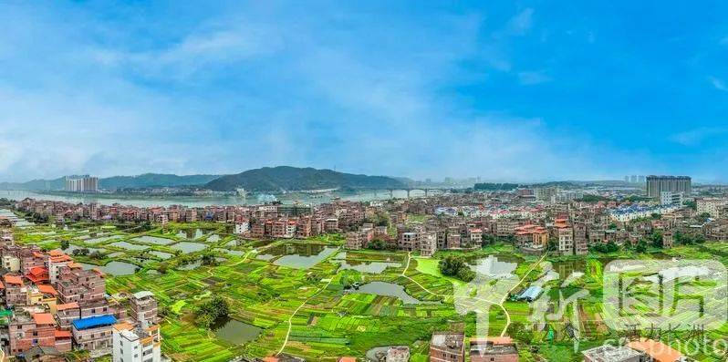 【中新社报道】长洲区:和美城乡春意浓_梧州市_广西_生态