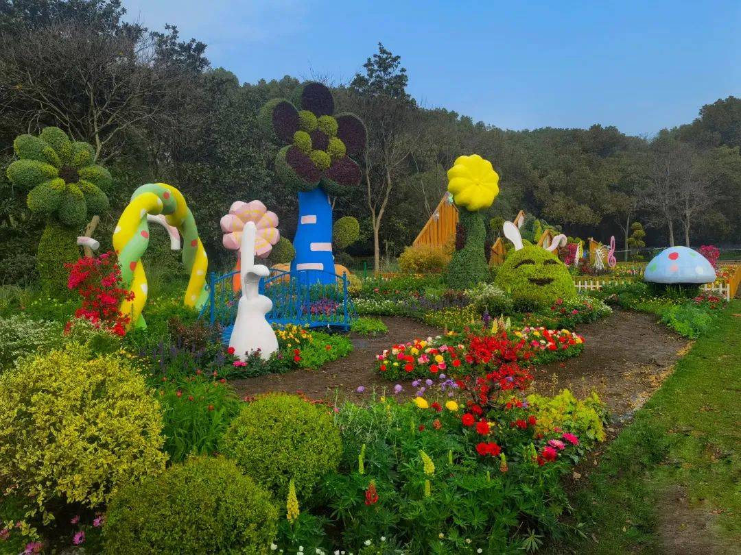 春花正当时奉上花展大礼包