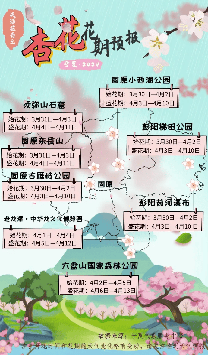 宁夏花儿介绍图片