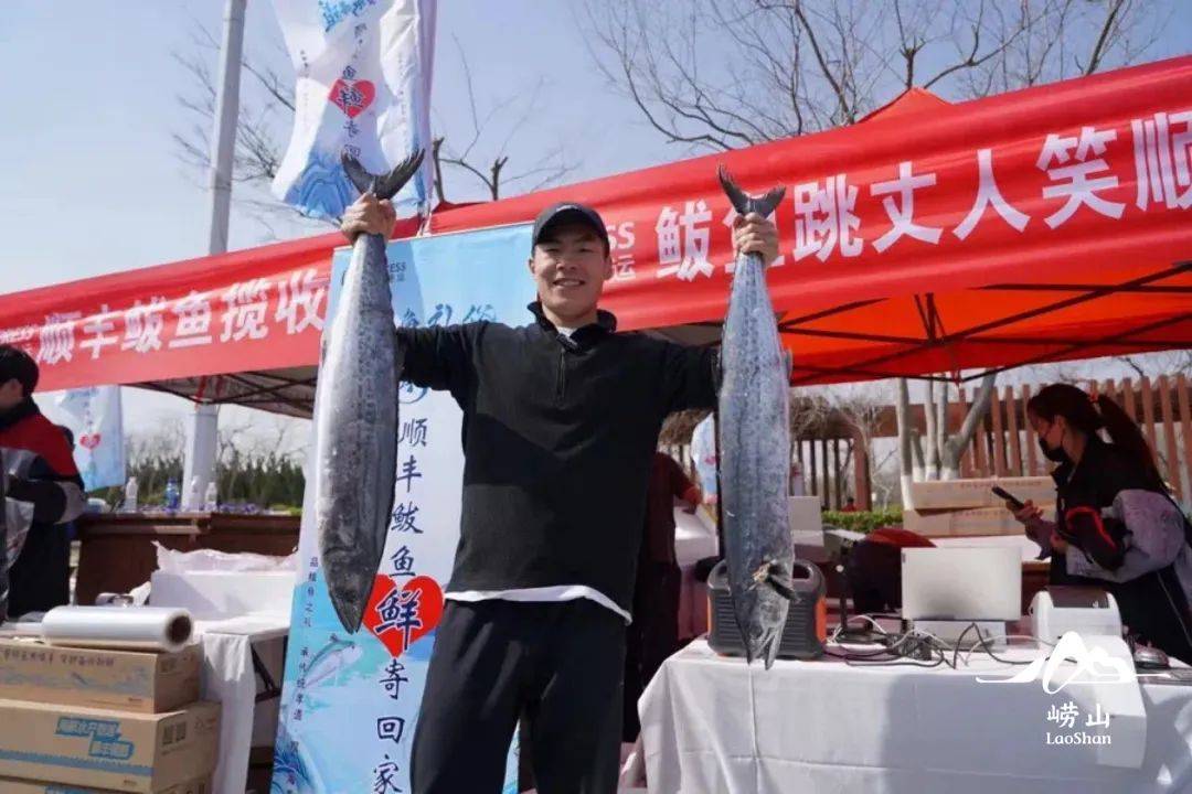 鲅鱼跳丈人笑青岛2024第二十届沙子口鲅鱼节邀您赏味尝鲜