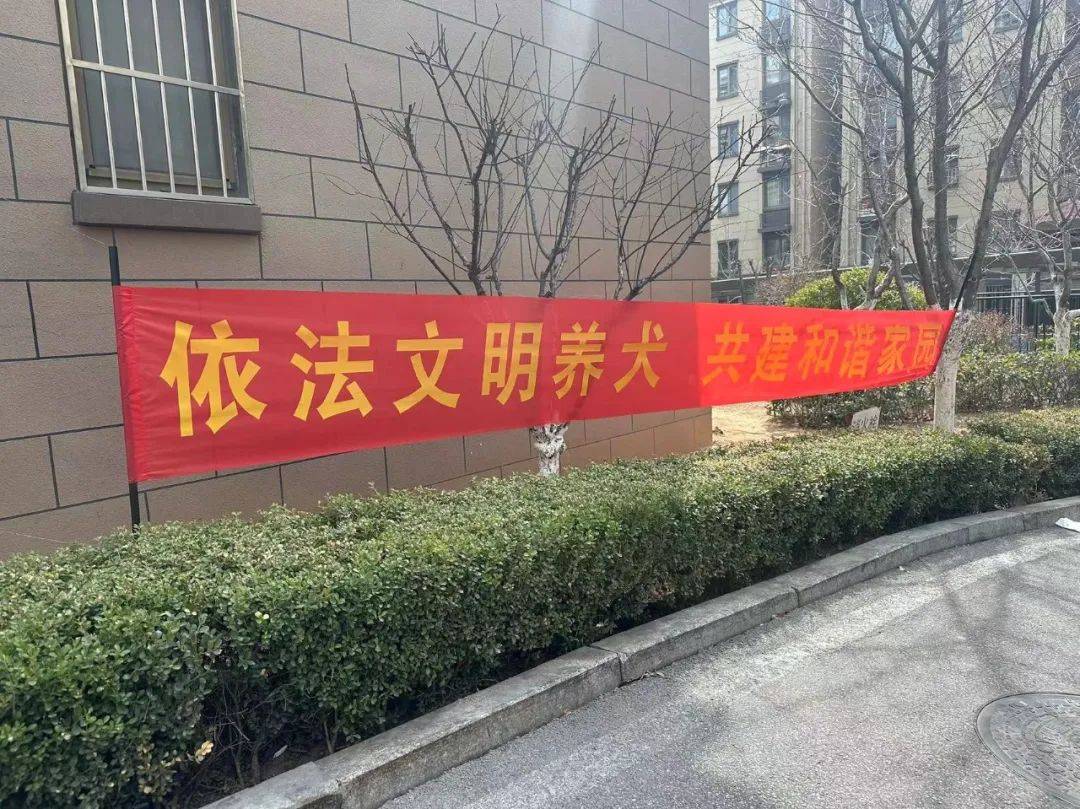 志愿者纷纷行动起来,在辖区醒目处悬挂宣传横幅,并向来往居民发放文明