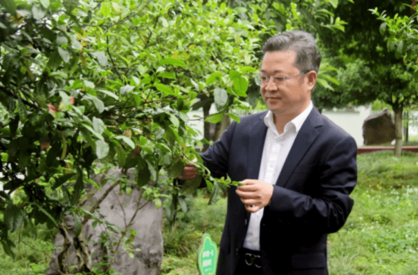 去哪里能购买抖音账号_抖音能买账号吗_购买的抖音号能用吗
