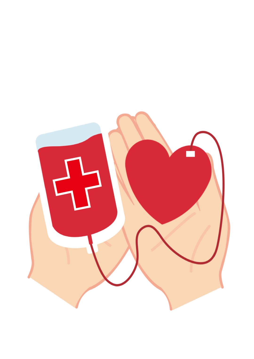 爱心相髓点燃生命的希望上海两天内7名红十字志愿者捐献造血干细胞