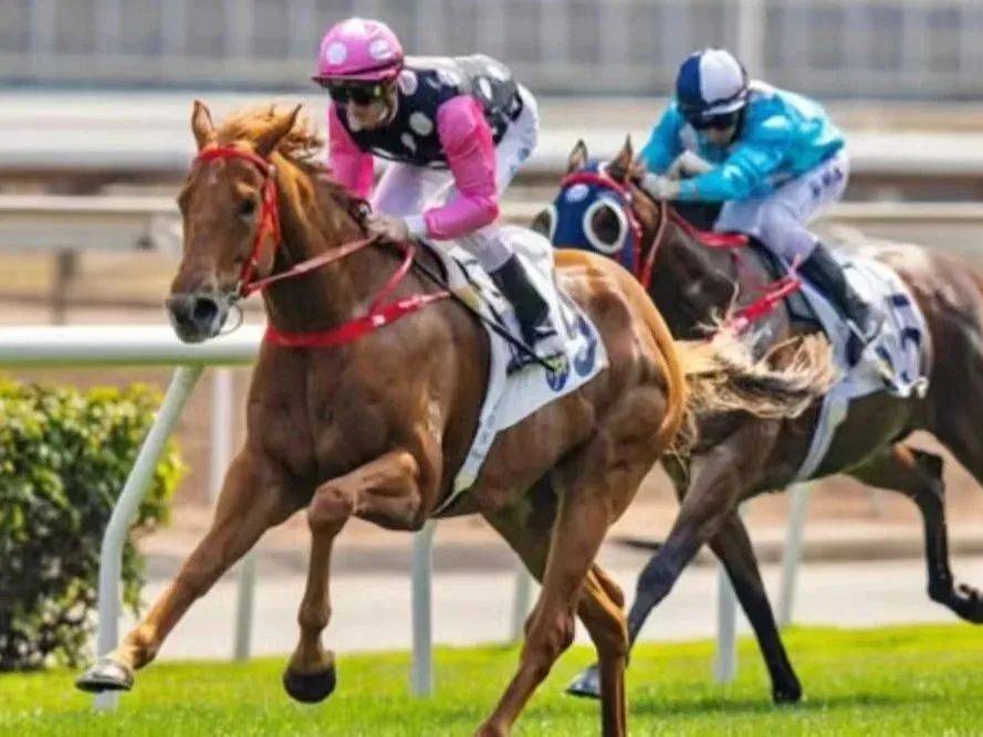 周末不加价062xx香港一日游港珠澳大桥沙田马场东港城等精华景点全