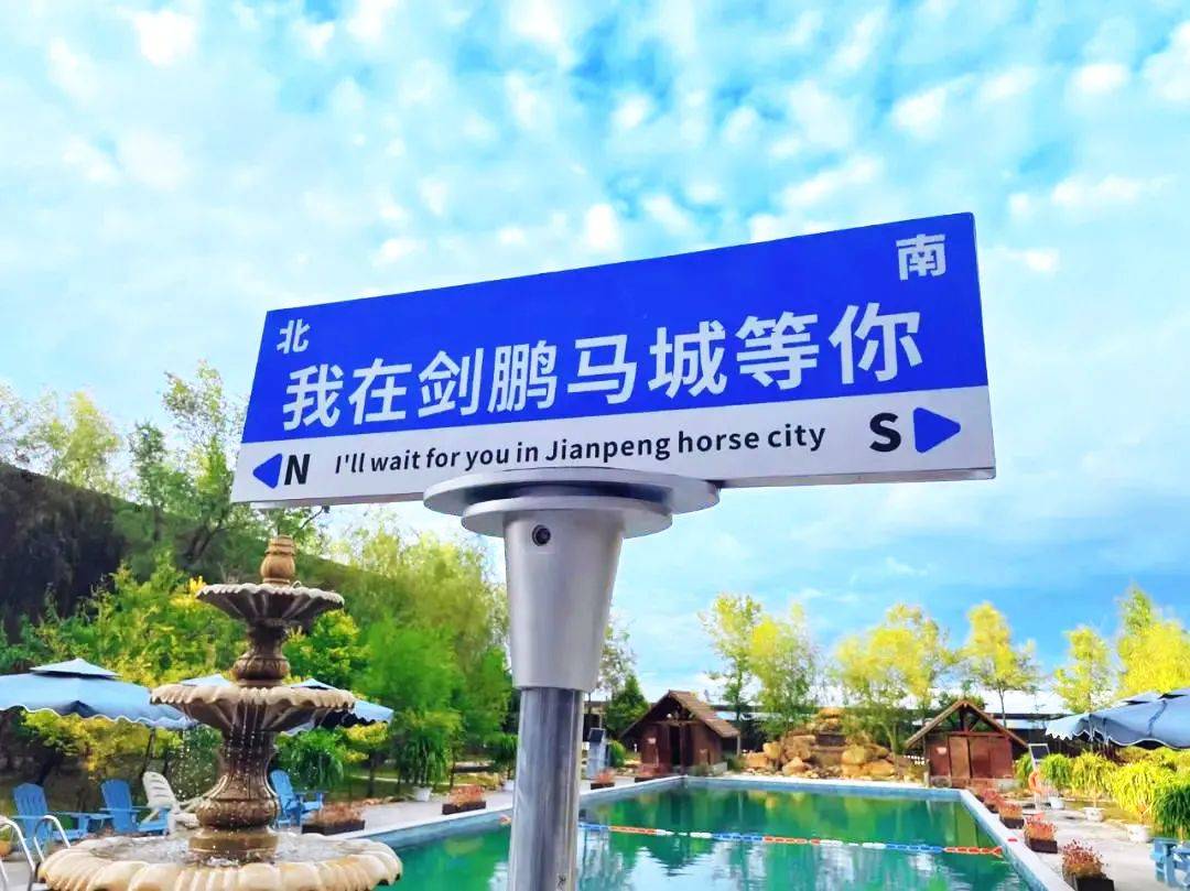马术课,门票开启假期奇妙之旅清明节让憧憬照进现实剑鹏国际马城温泉
