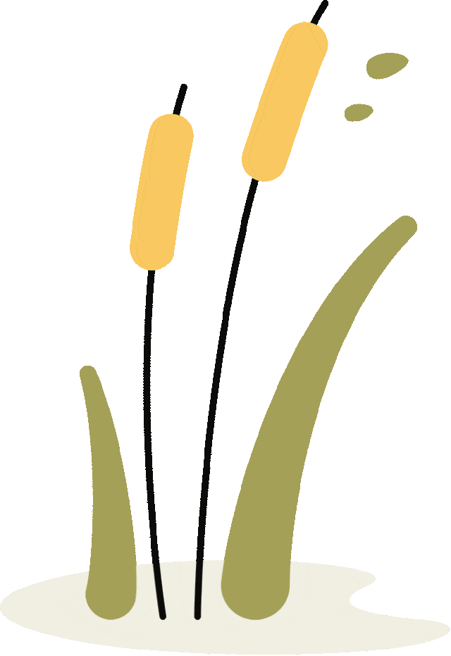 天气转暖 外出游玩小心蜱叮咬_处理_皮肤_活动