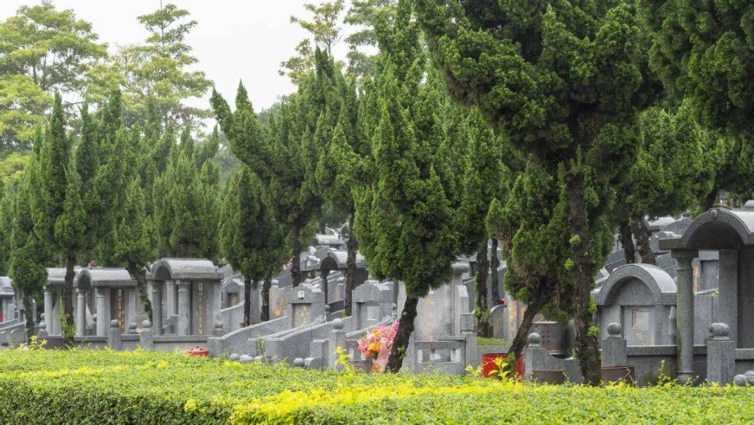珠海人清明祭扫须知:67这些行为可能触犯法律!_防火_墓园_森林