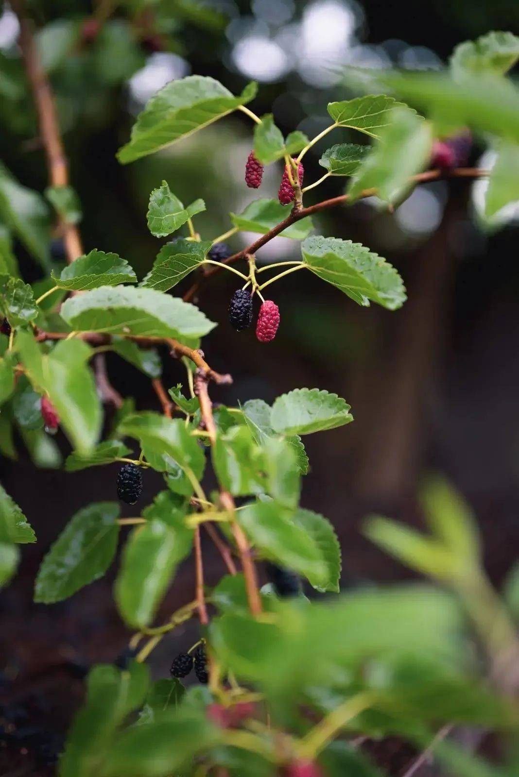强势刷屏南宁你是真火了偶遇明星高发季到了你还不赶紧来打卡