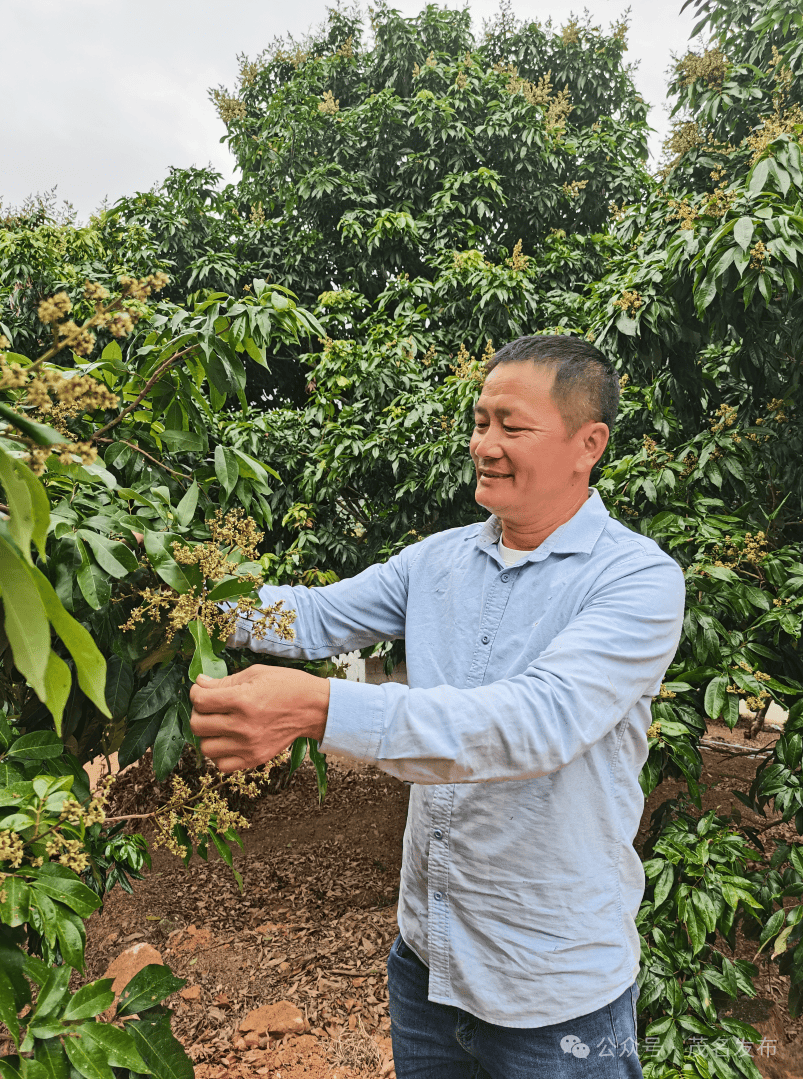 三月的柏桥村奏响春之声_荔枝_讲堂_乡村