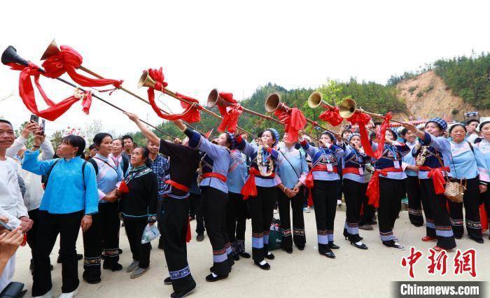 广西天峨县:油桐花绽放引客来_黄云峰_民众_三堡乡