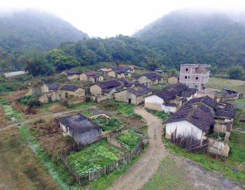 围观一群农村妈妈把孩子送进二本大学的历程我百感交集