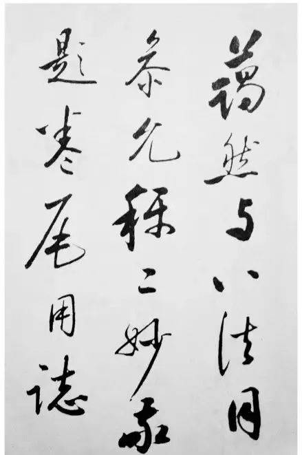 林散之的这幅书法捍卫了中国书法的国际地位