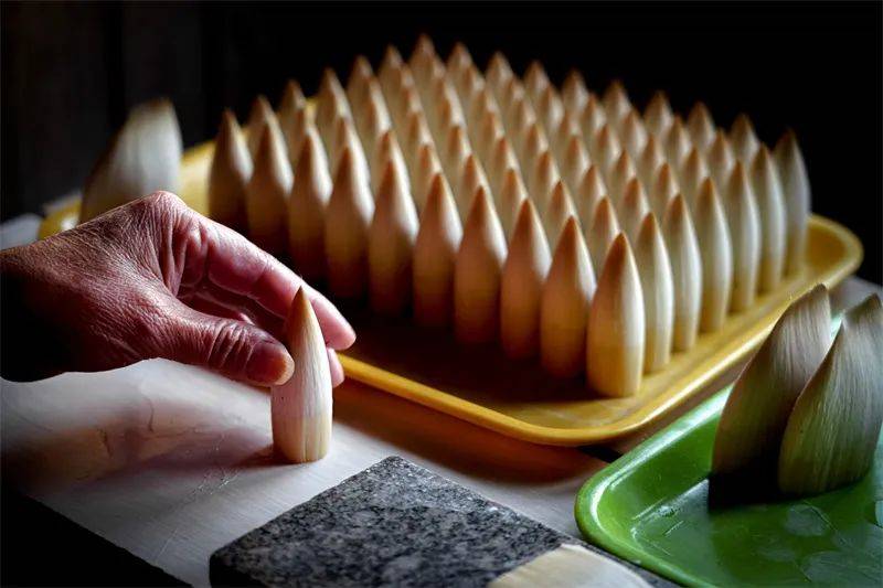 影像聚焦湖笔制作技艺