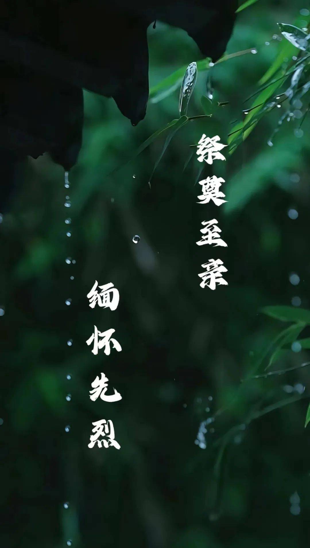 走进四月,缅怀与伤感交织