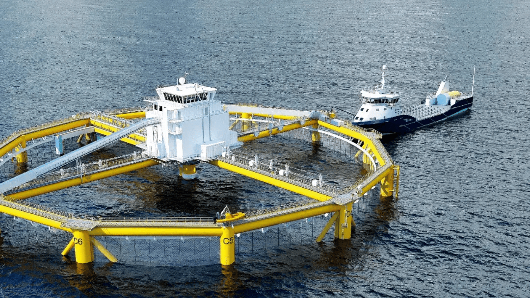 花上亿元深海养鱼,值吗?_养殖_工船_网箱