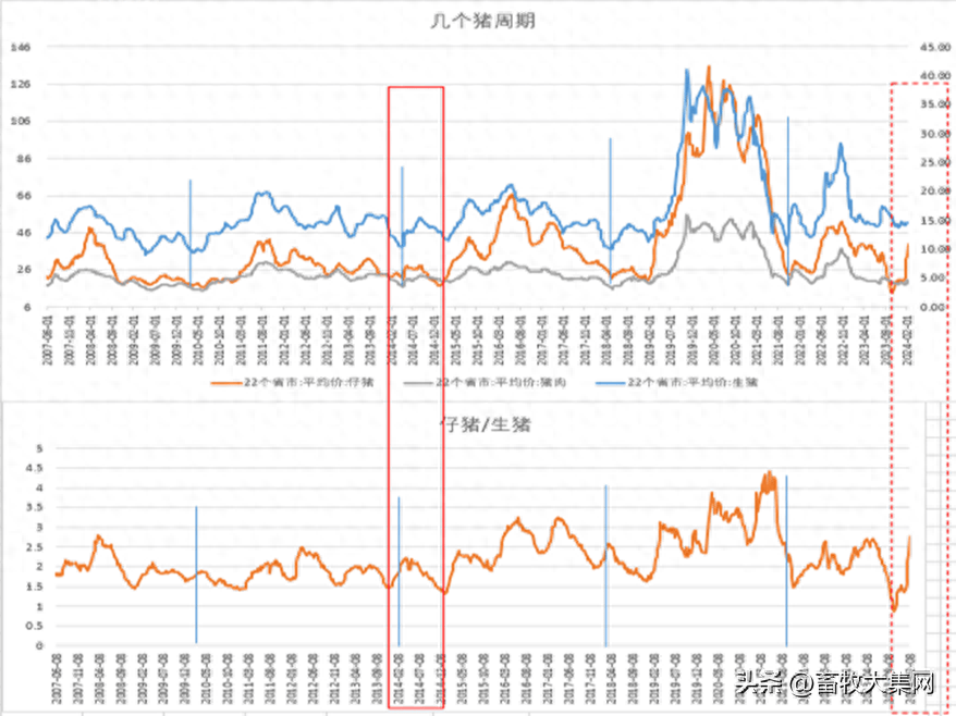 2024猪价:春天已来 猪市回暖_周期_供应_产能