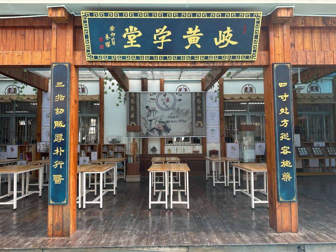 研学实践药草飘香弘扬国粹赵海仙洋楼中医药文化之旅