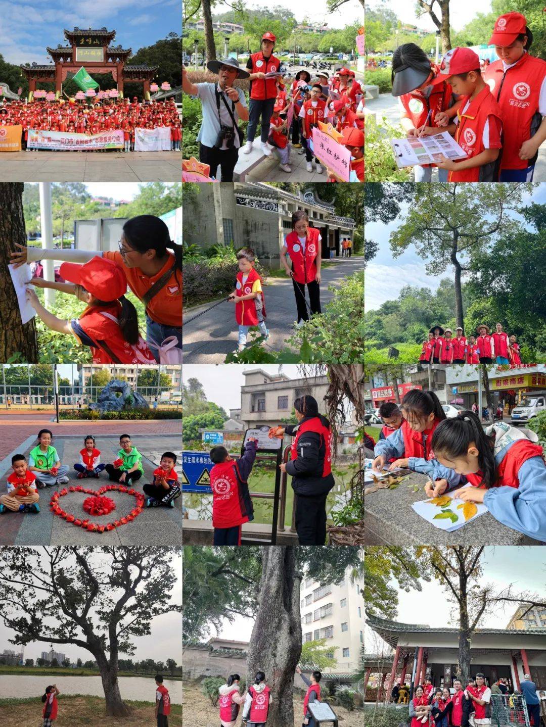 绿美新会绿美森踪新会区古树名木保护志愿服务行动第