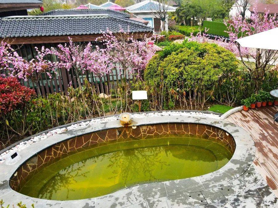就现在本期(2024第64期)来源 | 许昌花都温泉小镇编辑 |许昌市文化