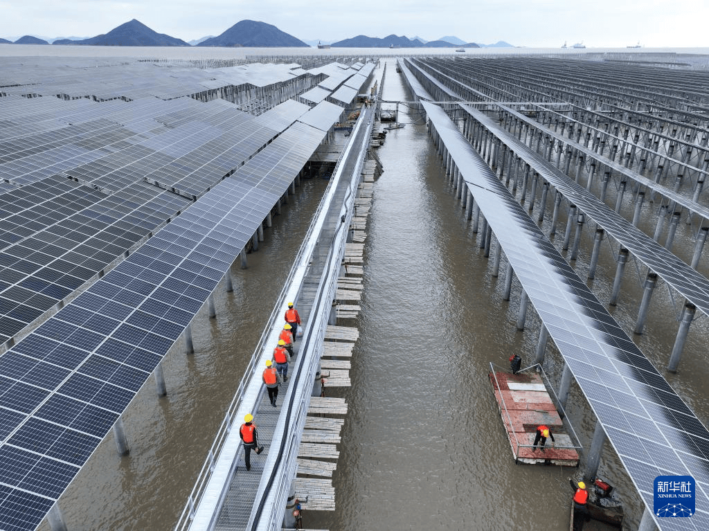 全国首个核光储多能联合滩涂光伏项目平稳运行