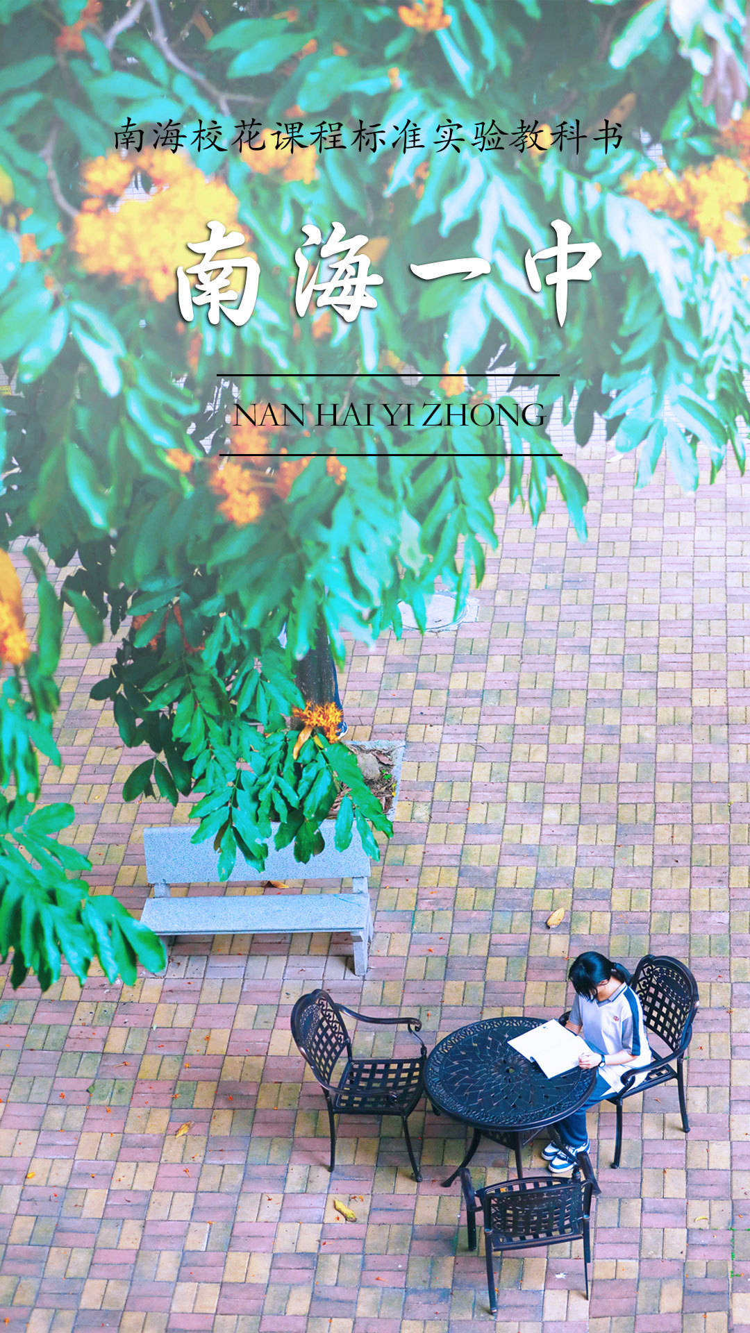 南海校花集合哪一个是你眼中的春日顶流