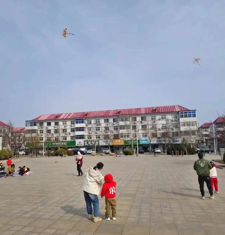 我们的节日清明节滨海新区各级妇联开展清明节活动